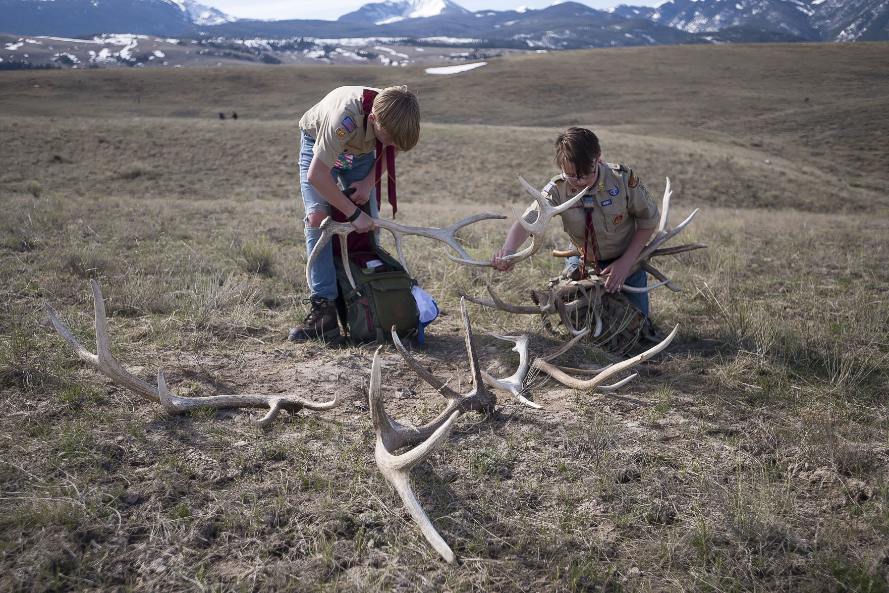Boy Scout antler pickup